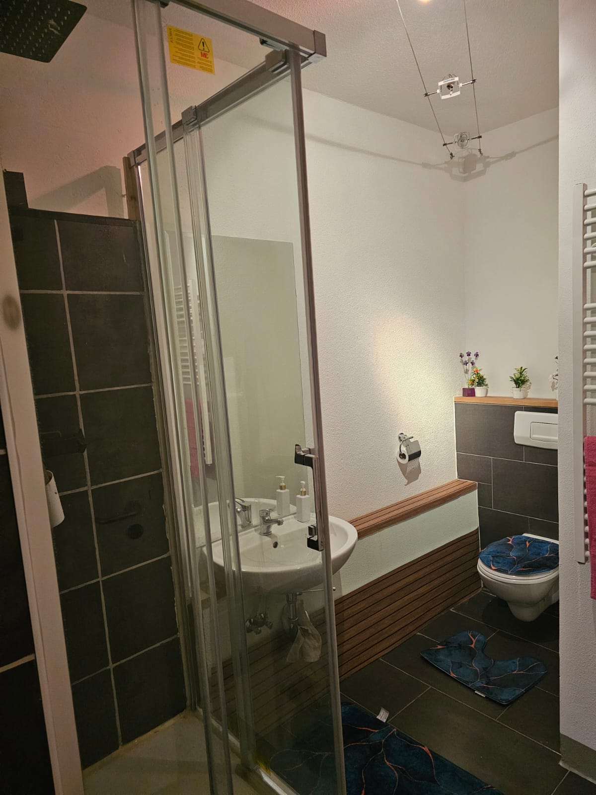 Duschbereich mit Glasfront und moderner Ausstattung